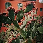 Vera 2 2 Gratis W Casa De Guia * Santa Maria de Guia de Gran Canaria
