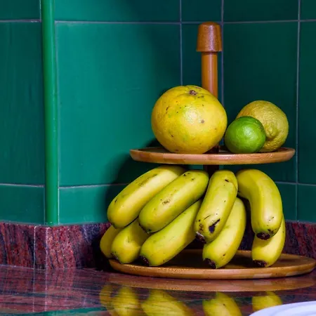 Vera 2 2 Gratis W Casa De Guia Daire Santa Maria de Guia de Gran Canaria