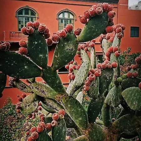 Vera 2 2 Gratis W Casa De Guia * Santa Maria de Guia de Gran Canaria